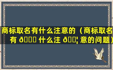 商标取名有什么注意的（商标取名有 🐒 什么注 🐦 意的问题）